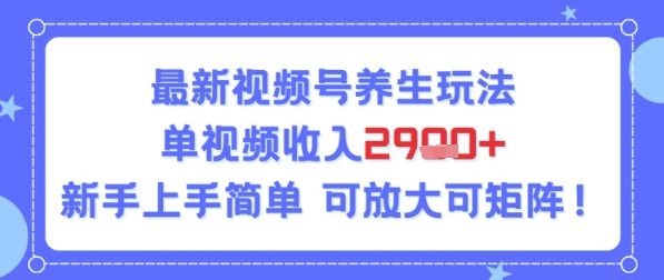 视频号养生玩法，单视频收入2.9k，新手上手简单-闲赋网