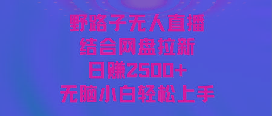 无人直播野路子结合网盘拉新，日赚2500+多平台变现，小白无脑轻松上手操作-闲赋网