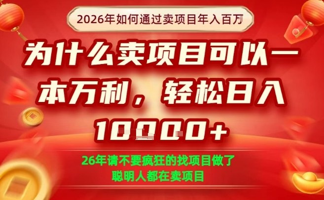 一单净利润1K+，26年想年入100个W，死磕卖项目就够了【揭秘】-闲赋网