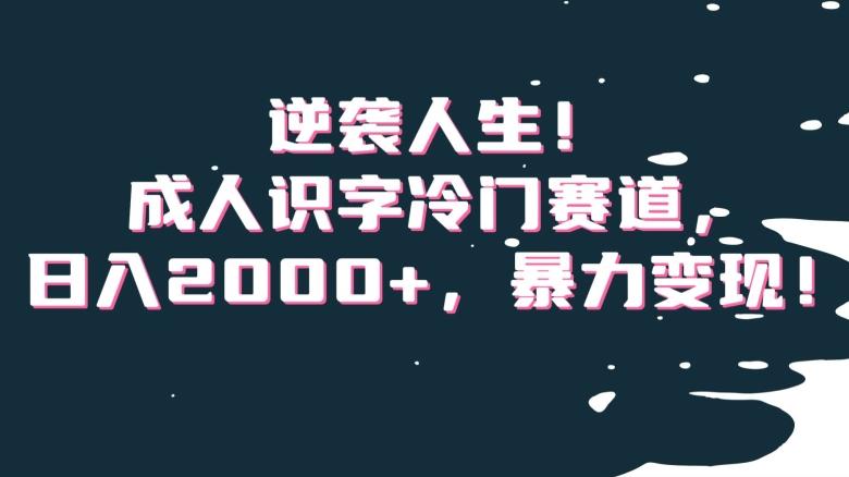 逆袭人生！成人识字冷门赛道，日入2000+，暴力变现！【揭秘】-闲赋网