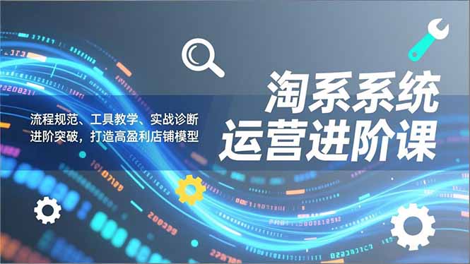 淘系系统运营进阶课2.0，流程规范、工具教学、实战诊断，进阶突破，打造高盈利店铺模型-闲赋网