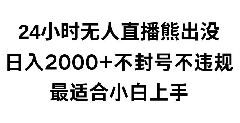 快手24小时无人直播熊出没，不封直播间，不违规，日入2000+，最适合小白上手，保姆式教学【揭秘】-闲赋网