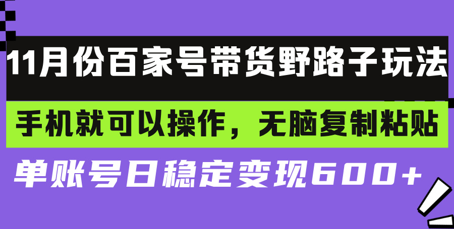 百家号带货野路子玩法 手机就可以操作，无脑复制粘贴 单账号日稳定变现…-闲赋网
