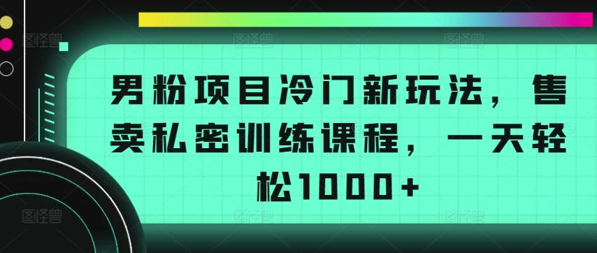 男粉项目冷门新玩法，售卖私密训练课程，一天轻松1000+【揭秘】-闲赋网