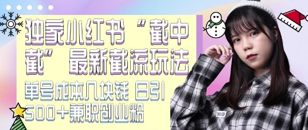 最新小红书截流玩法 独家截中截 单号成本几块钱 日引500+CY粉JZ粉-闲赋网