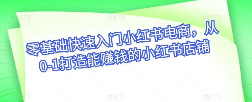 零基础快速入门小红书电商，从0-1打造能赚钱的小红书店铺-闲赋网
