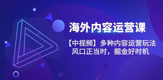 海外内容 运营课【中视频】多种内容运营玩法 风口正当时 掘金好时机-101节-闲赋网