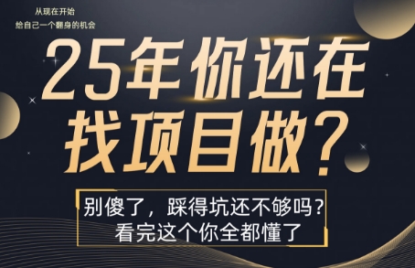 25年，你还在疯狂的找项目吗？别傻了，看完这个你都懂了【揭秘】-闲赋网