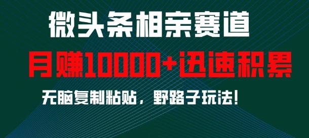 微头条相亲赛道，迅速积累，无脑复制粘贴，野路子玩法，月入1w-闲赋网