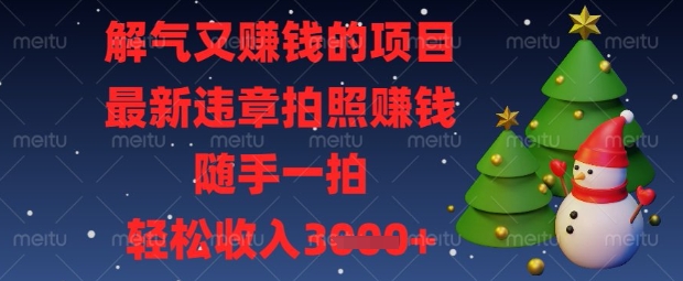 解气又挣钱的项目，最新违章拍照挣钱，随手一拍，轻松收入数张【揭秘】-闲赋网