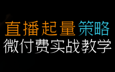 半野老师·直播带货起量与微付费必学课视频号-闲赋网