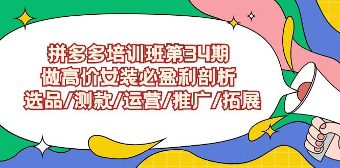 (9333期)拼多多培训班第34期：做高价女装必盈利剖析  选品/测款/运营/推广/拓展-闲赋网