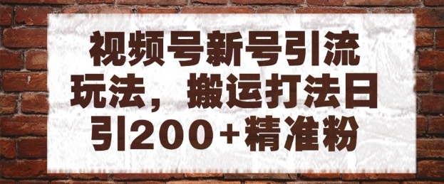 视频号新号引流玩法，搬运打法日引200+精准粉，可矩阵放大【揭秘】-闲赋网