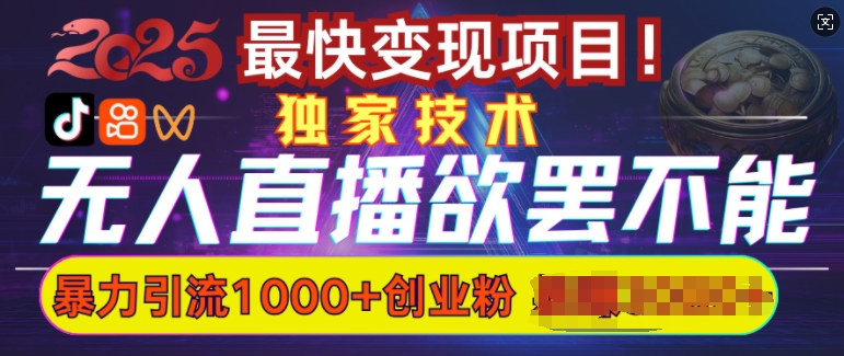 欲罢不能的无人直播引流，超暴力日引流1000+高质量精准创业粉-闲赋网