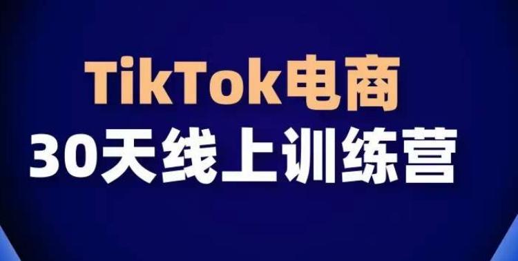 TikTok电商带货30天线上课，不可错过的全球流量洼地！-闲赋网