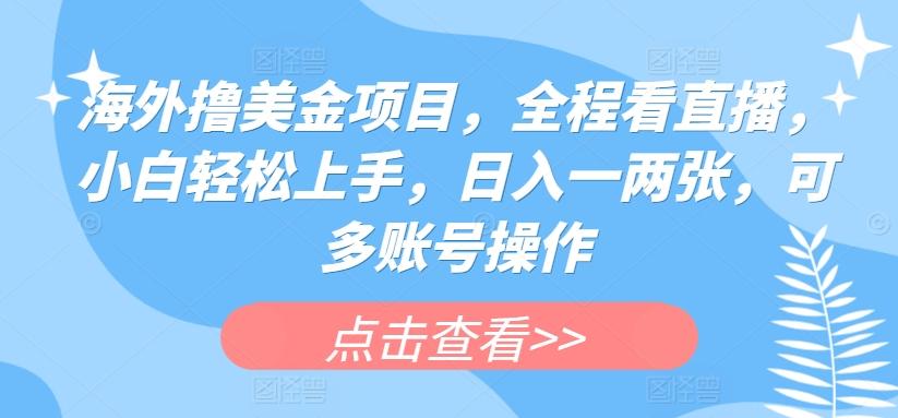 海外撸美金项目，全程看直播，小白轻松上手，日入一两张，可多账号操作【揭秘】-闲赋网