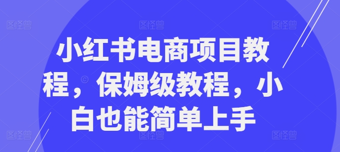 小红书电商项目教程，保姆级教程，小白也能简单上手-闲赋网