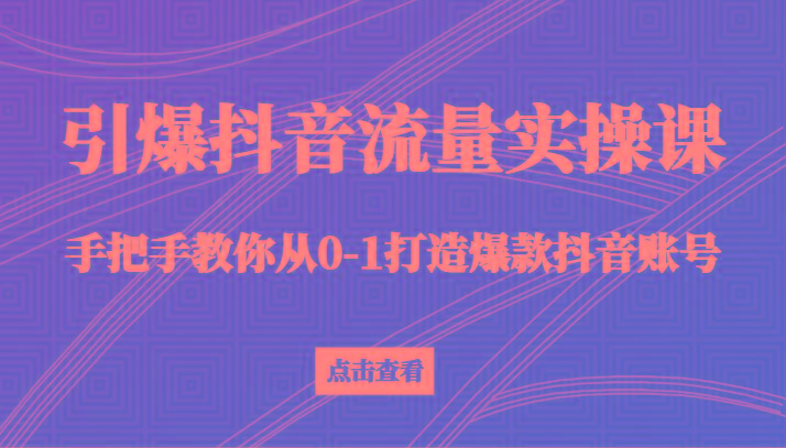 引爆抖音流量实操课，手把手教你从0-1打造爆款抖音账号(27节课)-闲赋网