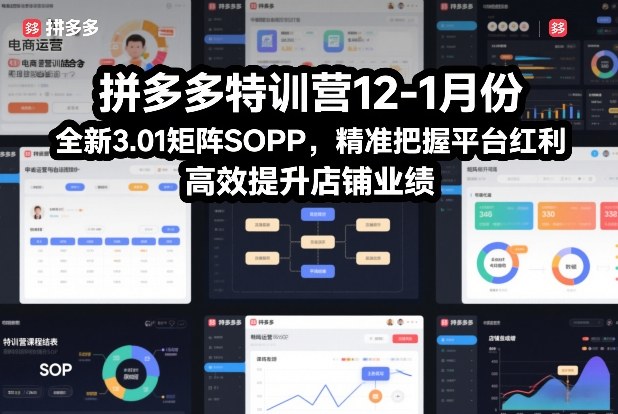 拼多多特训营12-1月份，全新3.01矩阵Sop，精准把握平台红利，高效提升店铺业绩-闲赋网