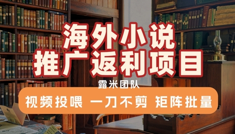 海外小说推广返利项目，视频投喂， 一刀不剪，矩阵批量-闲赋网