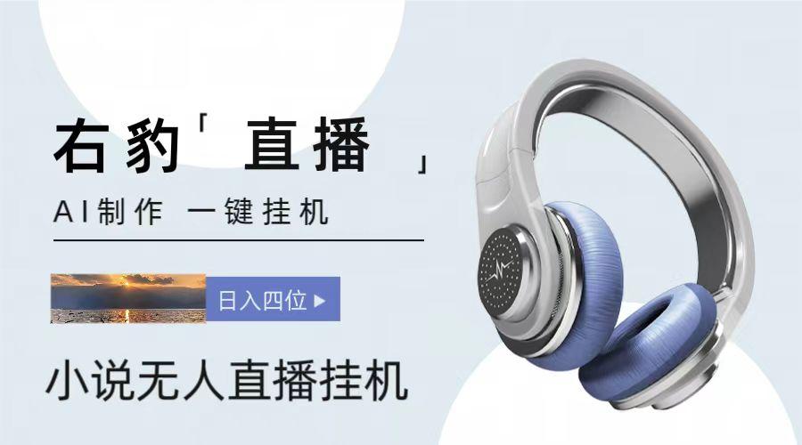 右豹小说无人直播挂机吸金项目，简单易行收益稳定， 月入1000+-闲赋网