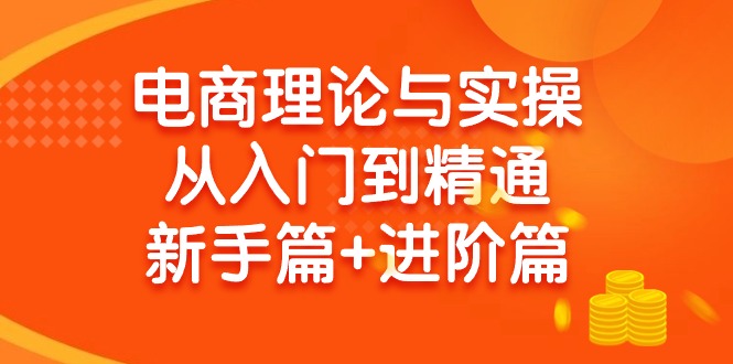 (9576期)电商理论与实操从入门到精通 新手篇+进阶篇-闲赋网