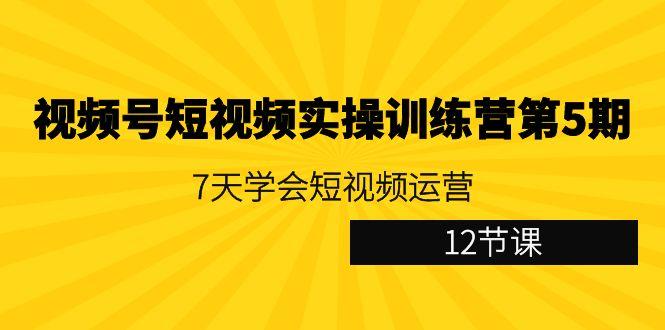 视频号短视频实操训练营第5期：7天学会短视频运营(12节课)-闲赋网