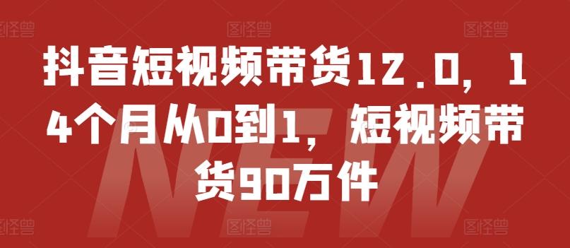 抖音短视频带货12.0，14个月从0到1，短视频带货90万件-闲赋网