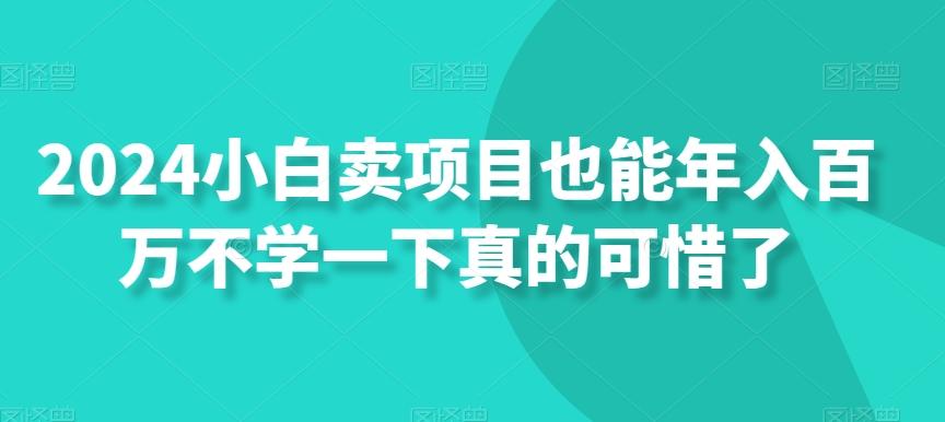 2024小白卖项目也能年入百万不学一下真的可惜了-闲赋网