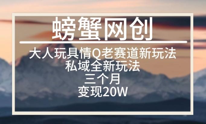 大人玩具情Q用品赛道私域全新玩法，三个月变现20W，老项目新思路【揭秘】-闲赋网