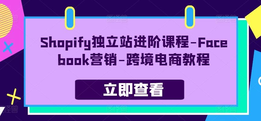 Shopify独立站进阶课程-Facebook营销-跨境电商教程-闲赋网