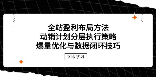 全站盈利布局方法：动销计划分层执行策略，爆量优化与数据闭环技巧-闲赋网