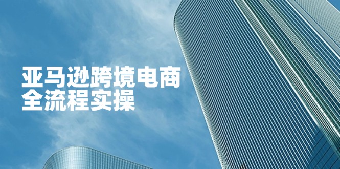 0e96cf3cb61cd0d9483f23d41b7e4dcb.jpeg 亚马逊跨境电商全流程实操,教你从零开始,掌握店铺运营与广告技巧