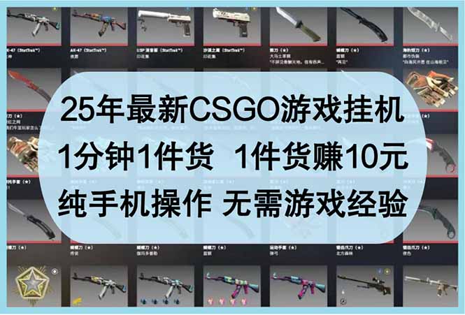 25年最新CSGO游戏挂机，1分钟1件货，1件货赚10元 纯手机操作 无需游戏经验-闲赋网