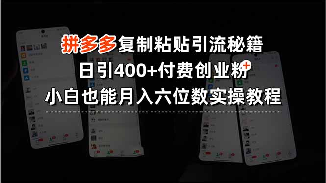 拼多多复制粘贴引流秘籍，日引400+付费创业粉，小白也能月入六位数实操…-闲赋网