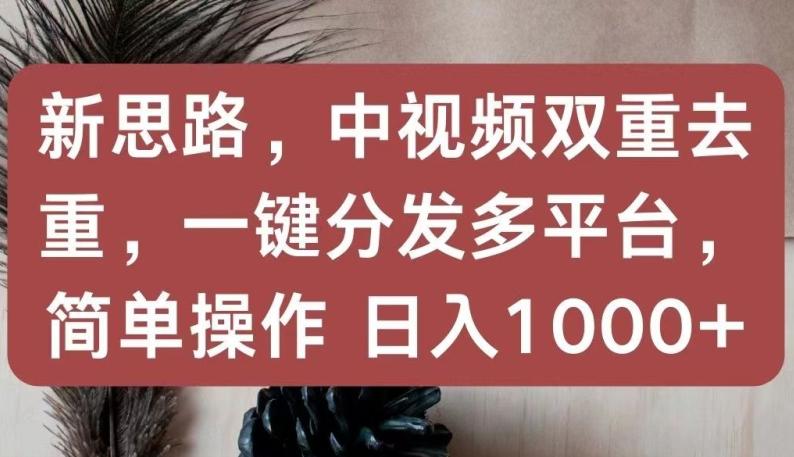 新思路，中视频双重去重，一键分发多平台，简单操作，日入1000+【揭秘】-闲赋网