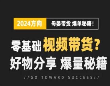 短视频母婴赛道实操流量训练营，零基础视频带货，好物分享，爆量秘籍-闲赋网