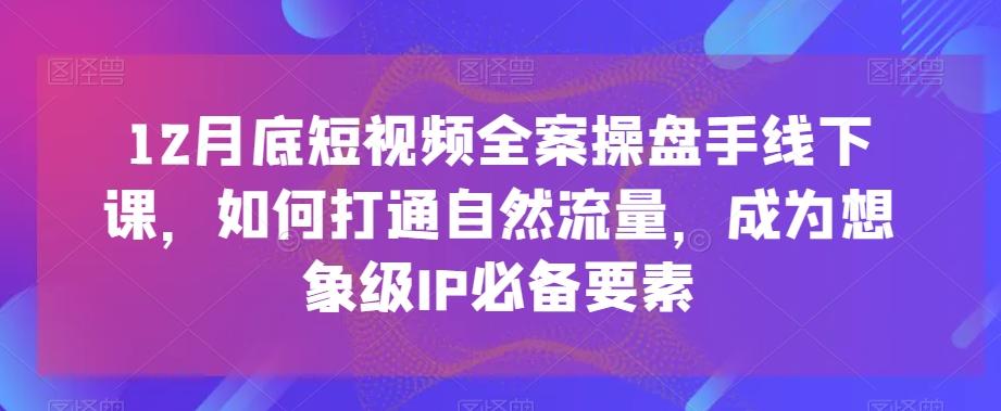 12月底短视频全案操盘手线下课，如何打通自然流量，成为想象级IP必备要素-闲赋网