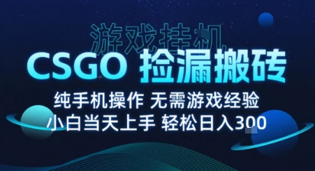 8月最新游戏搬砖，CSGO纯挂G，不需要玩游戏，实现真挂G，月入1W+【揭秘】-闲赋网