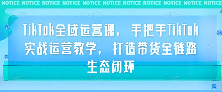 TikTok全域运营课，手把手TikTok实战运营教学，打造带货全链路生态闭环-闲赋网