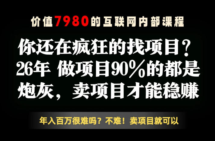 26年请不要疯狂的找项目了，卖项目远比你想象的暴利，你也可以月入10W+【揭秘】-闲赋网