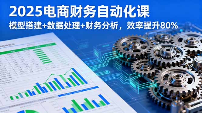 2025电商财务自动化课，模型搭建+数据处理+财务分析，效率提升80%-闲赋网