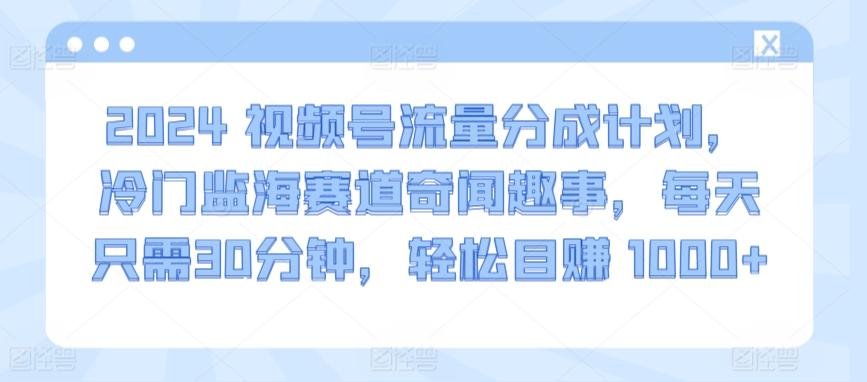 2024视频号流量分成计划，冷门监海赛道奇闻趣事，每天只需30分钟，轻松目赚 1000+【揭秘】-闲赋网