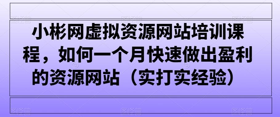 小彬网虚拟资源网站培训课程，如何一个月快速做出盈利的资源网站(实打实经验)-闲赋网