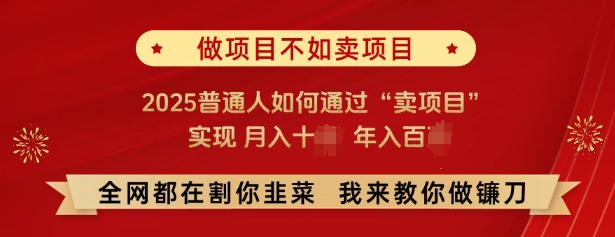 必看，做项目不如卖项目，2025普通人如何通过“卖项目”实现月入十个，年入百个-闲赋网