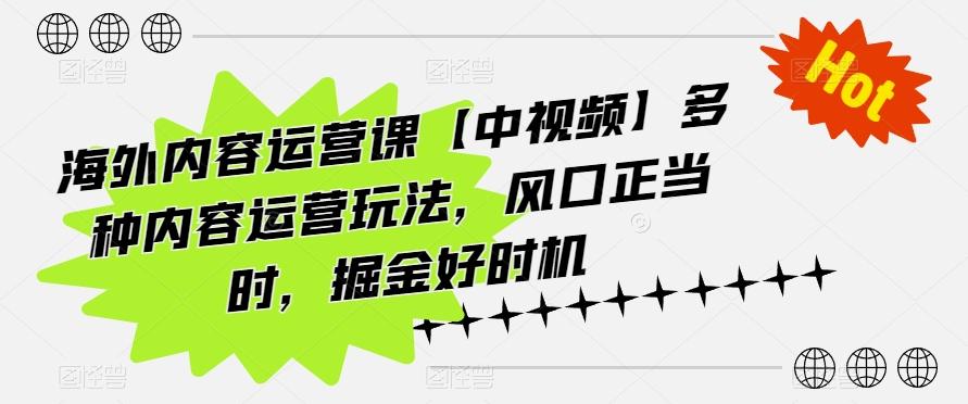 海外内容运营课【中视频】多种内容运营玩法，风口正当时，掘金好时机-闲赋网