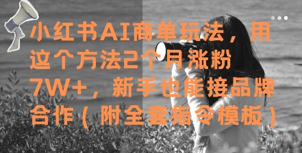 小红书AI商单玩法，用这个方法2个月涨粉7W+，新手也能接品牌合作(附全套指令模板)-闲赋网