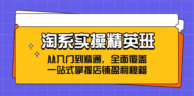 淘系实操精英班：从入门到精通，全面覆盖，一站式掌握店铺盈利秘籍-闲赋网