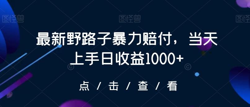 最新野路子暴力赔付，当天上手日收益1000+【仅揭秘】-闲赋网