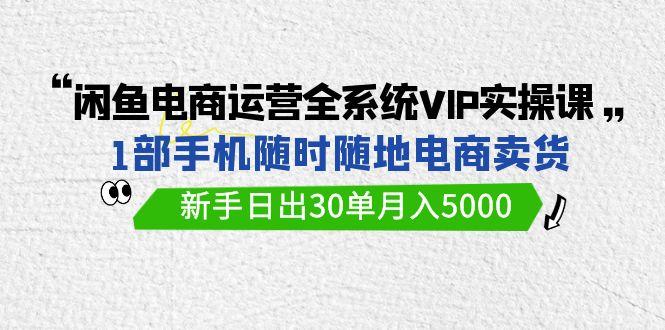 (9547期)闲鱼电商运营全系统VIP实战课，1部手机随时随地卖货，新手日出30单月入5000-闲赋网
